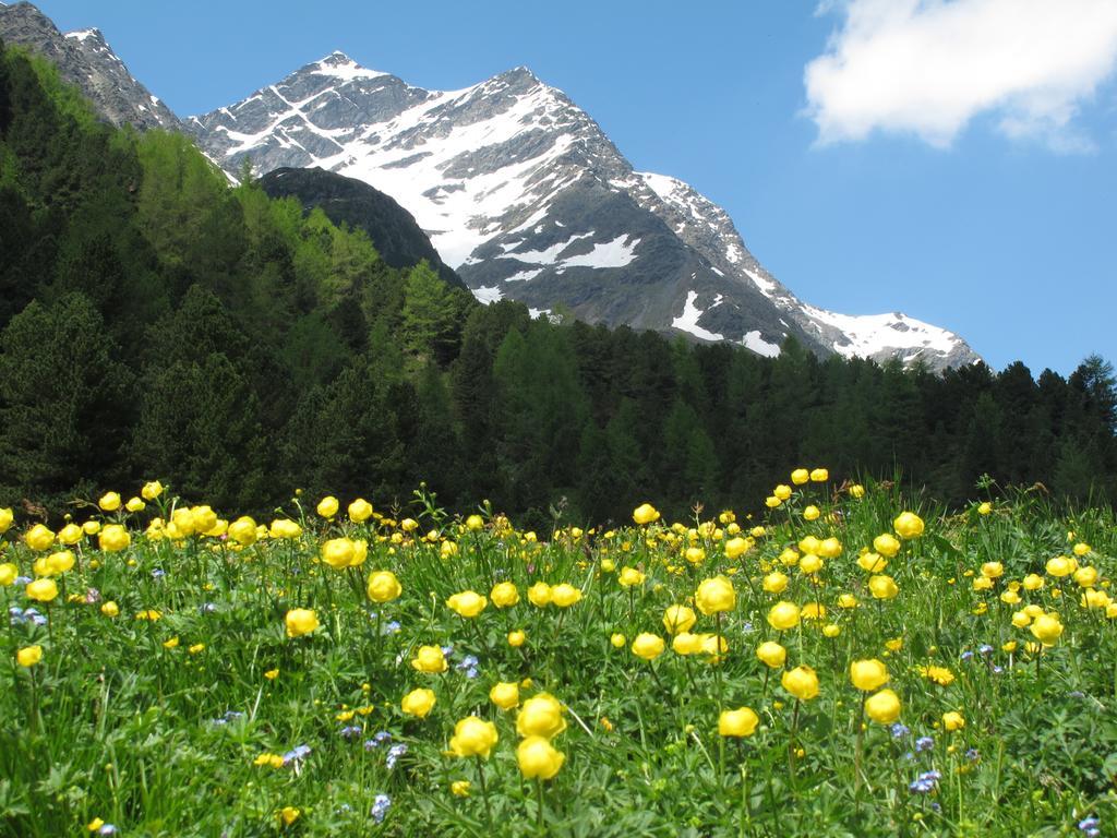 Ferienhaus Resinger Matrei in Osttirol Bagian luar foto