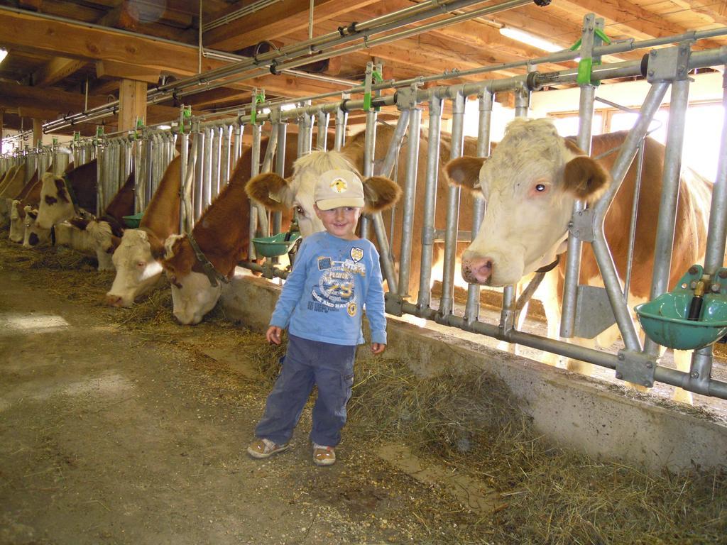 Ferienhaus Resinger Matrei in Osttirol Bagian luar foto