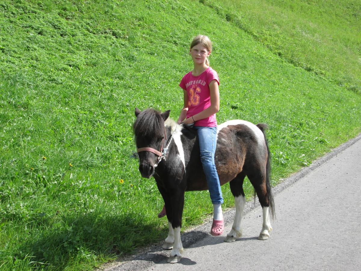 Ferienhaus Resinger Matrei in Osttirol Bagian luar foto